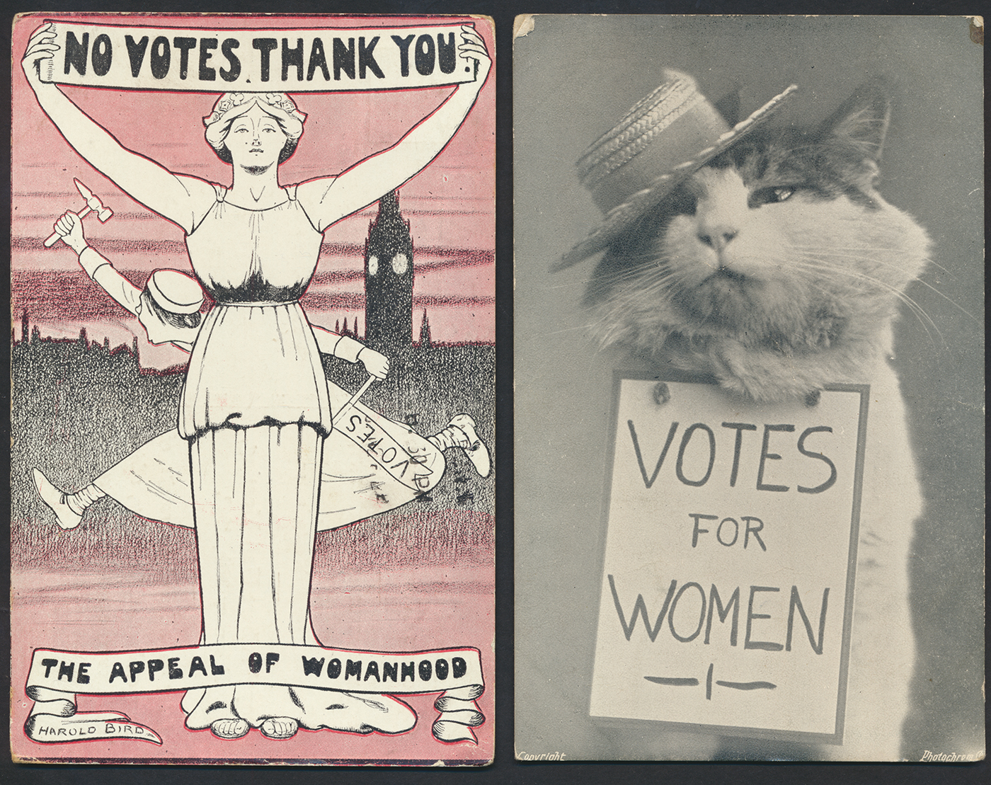 Women’s History Month: “Leading the Change: Women Shaping a Sustainable Future.”