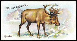 Warwick & Warwick cigarette card auction report 20th May 2015