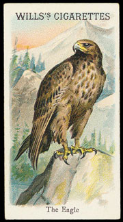 Warwick & Warwick Cigarette Card Auction Report 15th July 2015