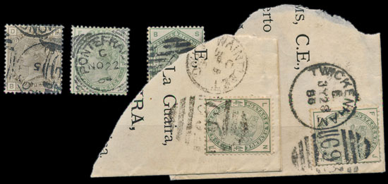 Warwick and Warwick customers' charity donation.