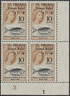 Happy New Year from Warwick & Warwick!