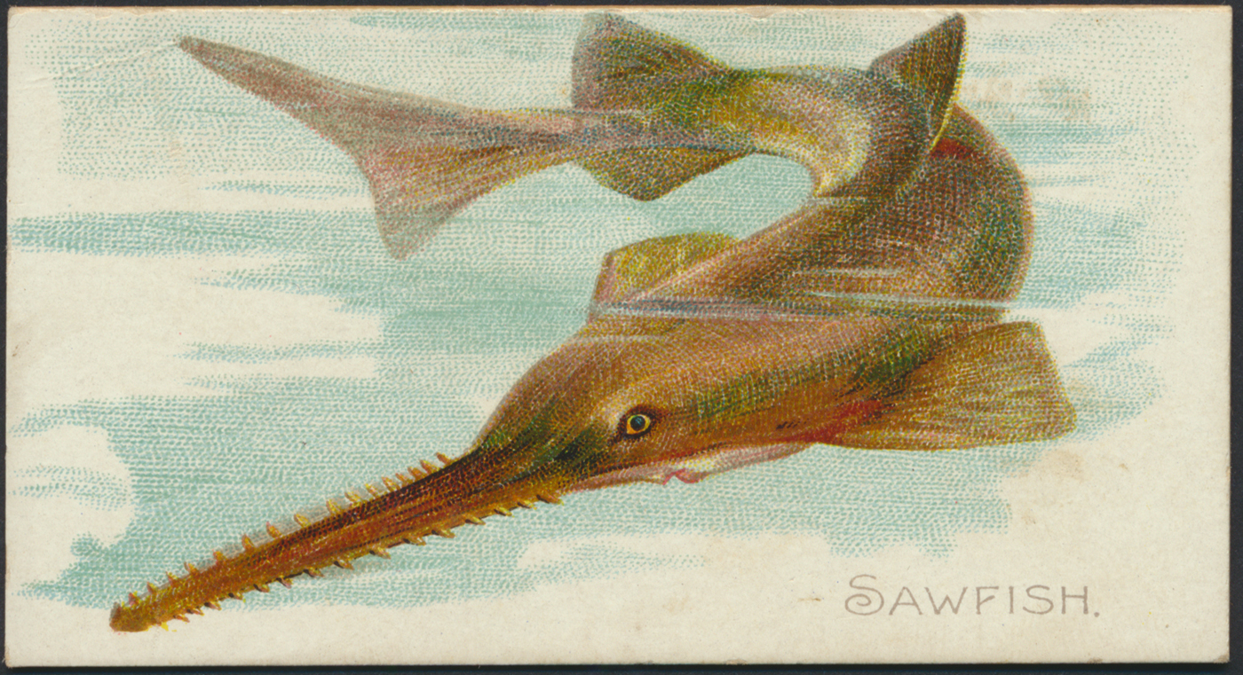 21st May 2025 Toys, Postcards and Cigarette Cards Auction Report