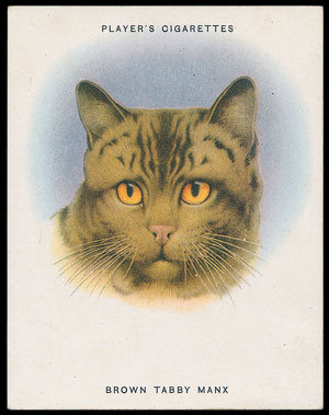 Warwick & Warwick Cigarette Card Auction Report 16th September 2015